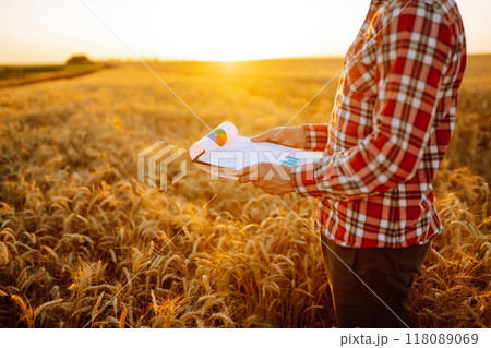Tablet in the hands of a farmer. Smart farm. Farmer checking his crops on an agricultural field. Tablet in the hands of a farmer. Smart farm. Farmer checking his crops on an agricultural field. 118089069