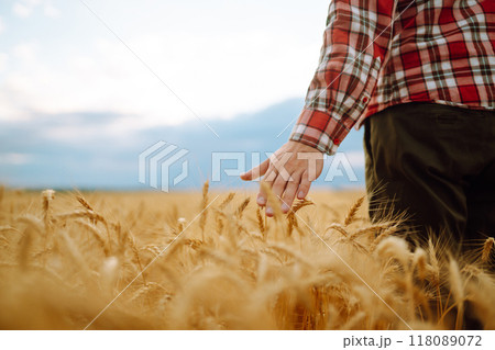 Silhouette of gronomist farmer in golden wheat field. Agricultural growth. farming business concept 118089072