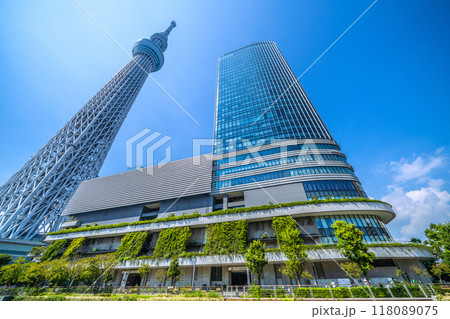 日本の東京都市景観 緑に映える東京スカイツリーなどを望む=9月6日 日本の東京都市景観 緑に映える東京スカイツリーなどを望む=9月6日 118089075