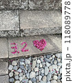 3月2日 118089778