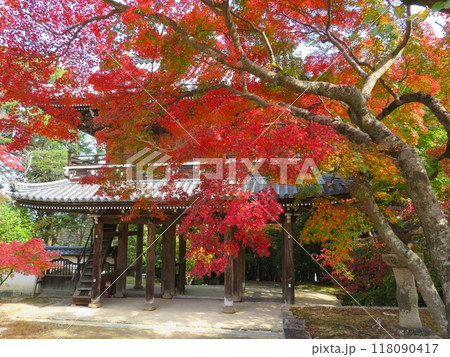 秋の功山寺 紅葉と山門 秋の功山寺 紅葉と山門 118090417