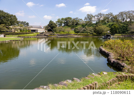 前橋公園さちの池 群馬県 前橋公園さちの池 群馬県 118090611