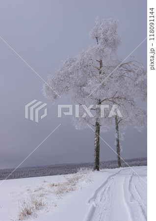 雨氷と降雪後の牧草地の風景 118091144