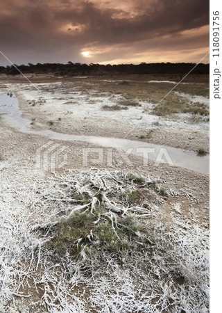 Saltpeter on the floor of a lagoon in a semi desert environment, La Pampa province, Patagonia, Argentina. Saltpeter on the floor of a lagoon in a semi desert environment, La Pampa province, Patagonia, Argentina. 118091756