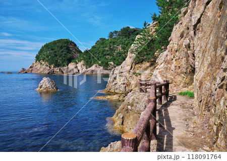 夏の鳥取県浦富海岸　鴨ヶ磯の遊歩道 118091764