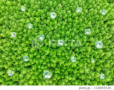 Carbon neutrality concept. Green tree capture of carbon emissions from factories and transportation. Natural carbon sinks, CO2 reduction, pollution balance, and environmental sustainability. 118093526