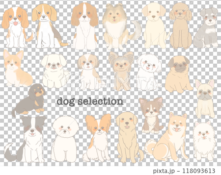 Set of various dogs 118093613