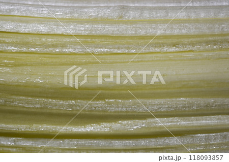 Glass surface 118093857