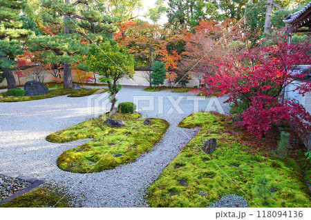 廬山寺の庭園 廬山寺の庭園 118094136