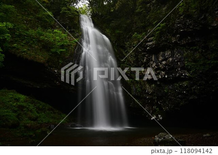 新緑に包まれた龍頭ヶ滝 118094142