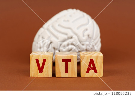 Exploring the ventral tegmental area in neuroscience with creative wooden blocks 118095235