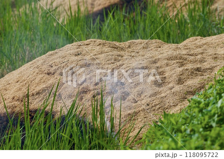 田んぼ 野焼き 田んぼ 野焼き 118095722