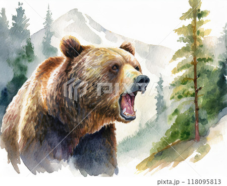 水彩画で描かれたクマのイラスト素材 [118095813] - PIXTA