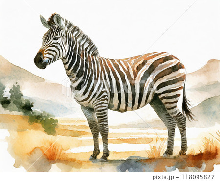 水彩画で描かれたシマウマのイラスト素材 [118095827] - PIXTA