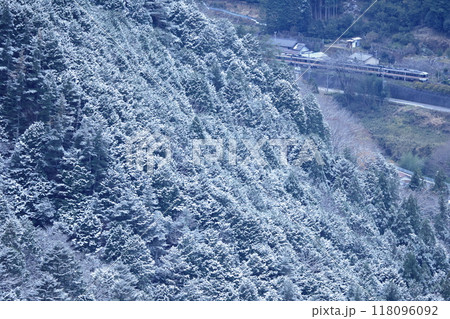 白く雪化粧した山を縫って特急ひだが行く　高山本線 118096092