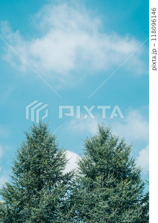 雪化粧した木々と青空 118096146