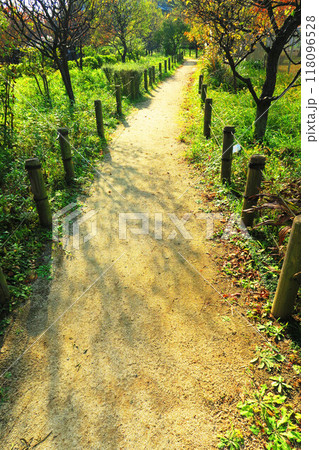 都市農業公園(東京都足立区)の晴れた日の園内の風景 都市農業公園(東京都足立区)の晴れた日の園内の風景 118096528