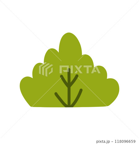 Bush isolated on a white background 118096659
