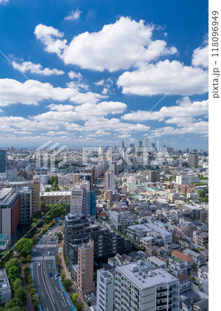 《東京都》夏空の東京都市風景・池袋方面をのぞむ 《東京都》夏空の東京都市風景・池袋方面をのぞむ 118096949