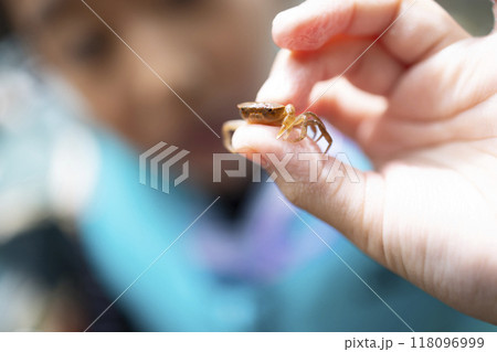 川でカニを捕まえる女の子 118096999