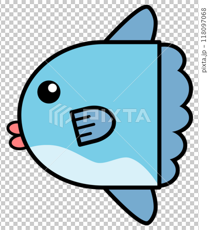 水族館で可愛くて人気の海水魚マンボウのイラスト 118097068