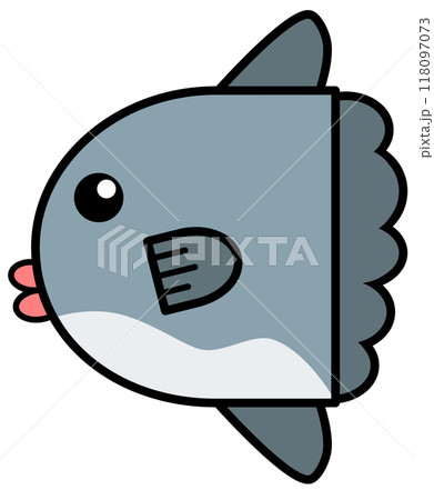 水族館で可愛くて人気の海水魚マンボウのイラスト 118097073