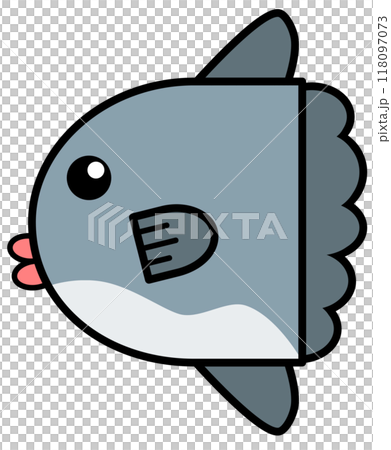 水族館で可愛くて人気の海水魚マンボウのイラスト 118097073