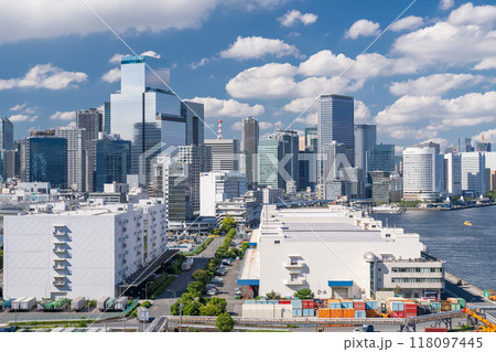 《東京都》夏空の東京都市風景・ベイエリアからのながめ 《東京都》夏空の東京都市風景・ベイエリアからのながめ 118097445