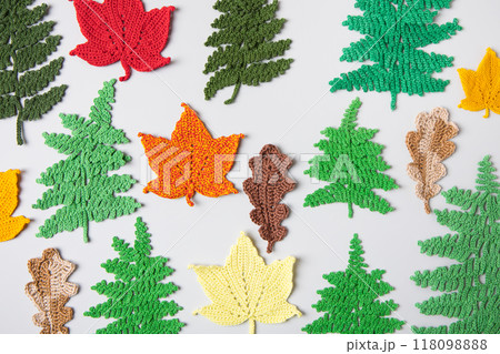 Knitted green fern leaves and autumn yellow and red maple and oak leaves. Autumn background with place for text. Top view, flat lay. Knitted green fern leaves and autumn yellow and red maple and oak leaves. Autumn background with place for text. Top view, flat lay. 118098888