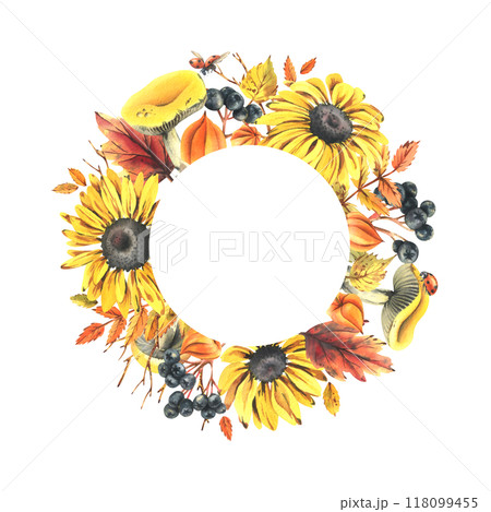 Autumn berries physalis, chokeberry, rowan leaves, maple, birch, russula mushrooms, rudbeckia flowers, tree branches and ladybugs. Watercolor illustrations. Round frame wreath isolated from background 118099455