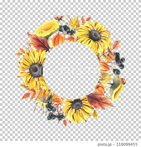 Autumn berries physalis, chokeberry, rowan leaves, maple, birch, russula mushrooms, rudbeckia flowers, tree branches and ladybugs. Watercolor illustrations. Round frame wreath isolated from background 118099455