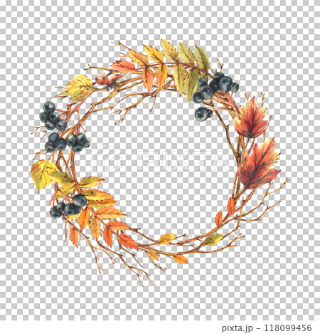 Autumn berries chokeberry, rowan leaves, maple, birch, tree branches and ladybugs. Watercolor illustrations. Round frame wreath isolated from background 118099456