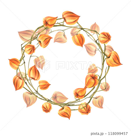 Autumn orange physalis berries on branches dry, leafless dried flowers. Watercolor hand drawn illustration. Round wreath frame template for text isolated from background. Autumn orange physalis berries on branches dry, leafless dried flowers. Watercolor hand drawn illustration. Round wreath frame template for text isolated from background. 118099457