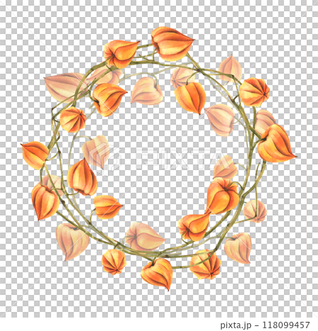 Autumn orange physalis berries on branches dry, leafless dried flowers. Watercolor hand drawn illustration. Round wreath frame template for text isolated from background. Autumn orange physalis berries on branches dry, leafless dried flowers. Watercolor hand drawn illustration. Round wreath frame template for text isolated from background. 118099457