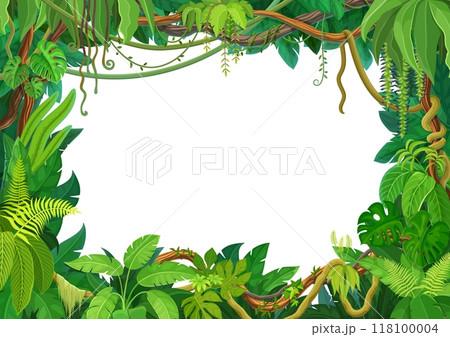 Tropical liana frame of jungle forest ivy branches or creeper plant vine, cartoon vector background. Tropical liana frame or rainforest jungle bindweed tree borders or hedera vine and monstera leaves Tropical liana frame of jungle forest ivy branches or creeper plant vine, cartoon vector background. Tropical liana frame or rainforest jungle bindweed tree borders or hedera vine and monstera leaves 118100004