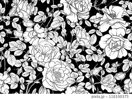 Rose flowers. Outline vector.  118100375