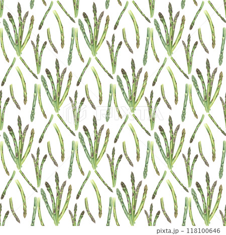 Spring green asparagus sprouts seamless pattern in realistic style. Fresh uncooked vegetable stems bundle watercolor food illustration. For dish presentations, menu, kitchen textile decor Spring green asparagus sprouts seamless pattern in realistic style. Fresh uncooked vegetable stems bundle watercolor food illustration. For dish presentations, menu, kitchen textile decor 118100646