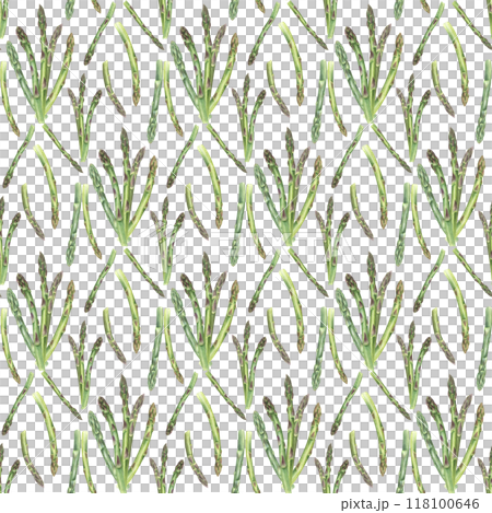 Spring green asparagus sprouts seamless pattern in realistic style. Fresh uncooked vegetable stems bundle watercolor food illustration. For dish presentations, menu, kitchen textile decor Spring green asparagus sprouts seamless pattern in realistic style. Fresh uncooked vegetable stems bundle watercolor food illustration. For dish presentations, menu, kitchen textile decor 118100646