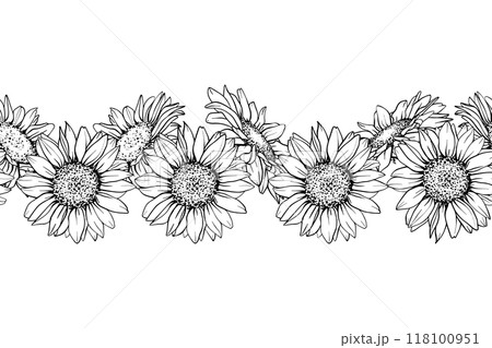 Sunflower seamless border. Hand draw Sketch pen and ink vintage vector illustration on white background. Botanical graphic engraving design 118100951