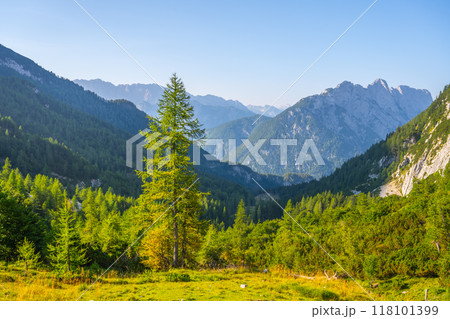 A breathtaking view of the Julian Alps in Slovenia showcases lush green forests and majestic mountains under a clear blue sky, inviting nature lovers to explore its tranquil landscape. 118101399