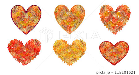 Set of heart shape of autumn colorful orange, yellow, brown oak leaves. Watercolor botanical illustration. Template with foliage texture, for stickers, posters for Harvest, Thanksgiving, Halloween 118101621