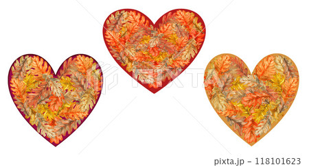 Set of heart shape of autumn colorful orange, yellow, brown oak leaves. Watercolor botanical illustration. Template with foliage texture, for stickers, posters for Harvest, Thanksgiving, Halloween Set of heart shape of autumn colorful orange, yellow, brown oak leaves. Watercolor botanical illustration. Template with foliage texture, for stickers, posters for Harvest, Thanksgiving, Halloween 118101623