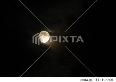 文月、雲間に現れた月齢12.2の薄雲掛かる月 118102206