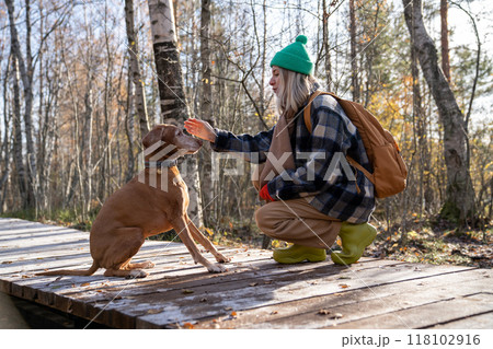 Woman pet owner dog handler stroking naughty dog sitting on wooden pathway in natural park. 118102916