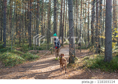 Energetic female pet sitter walks, plays with dog in autumn pine forest. Healthy outdoor activity Energetic female pet sitter walks, plays with dog in autumn pine forest. Healthy outdoor activity 118103114