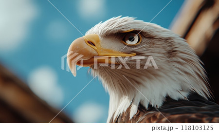 A close up of a bald eagle with yellow eyes and beak, AI 118103125