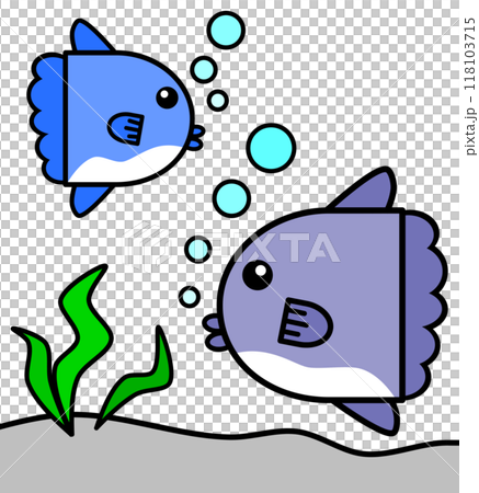 水族館で可愛いくて大人気な海水魚マンボウのイラスト 118103715