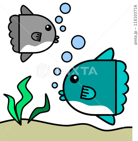 水族館で可愛いくて大人気な海水魚マンボウのイラスト 118103716