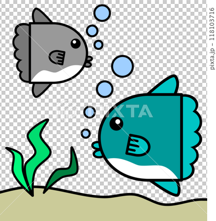 水族館で可愛いくて大人気な海水魚マンボウのイラスト 118103716