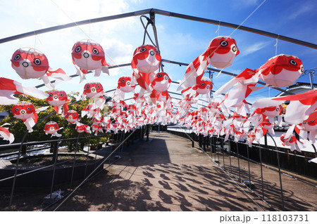 柳井 金魚ちょうちん祭り 2665 柳井 金魚ちょうちん祭り 2665 118103731